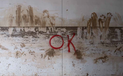 ‘Hasta aquí llegó el agua y el barro’, la mirada de Pablo Miranzo sobre la DANA